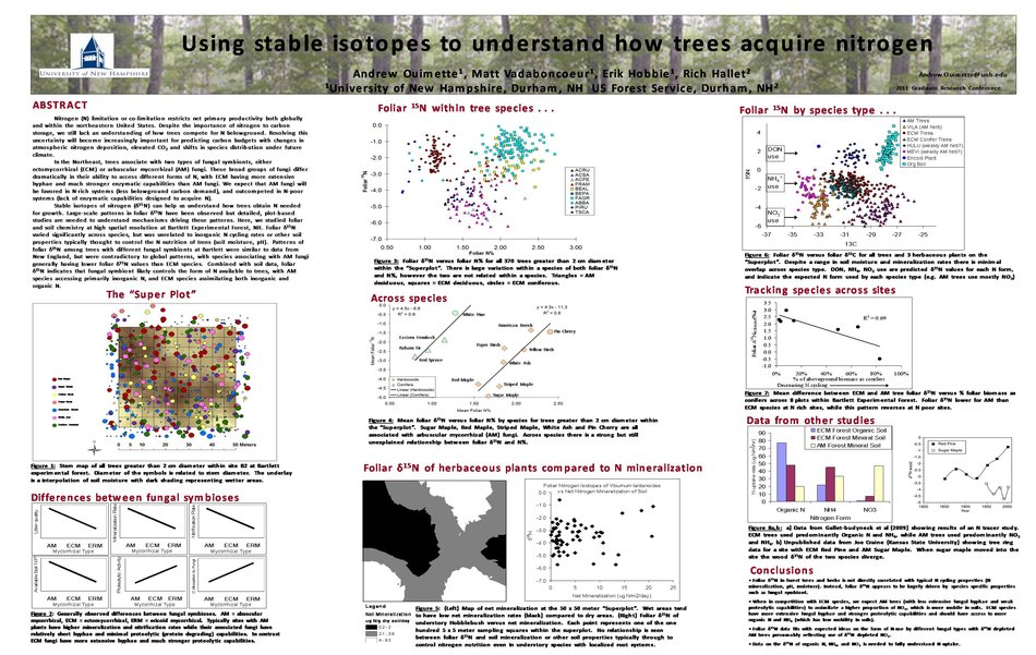 Using Stable Isotopes To Understand How Trees Acquire Nitrogen by aouimette